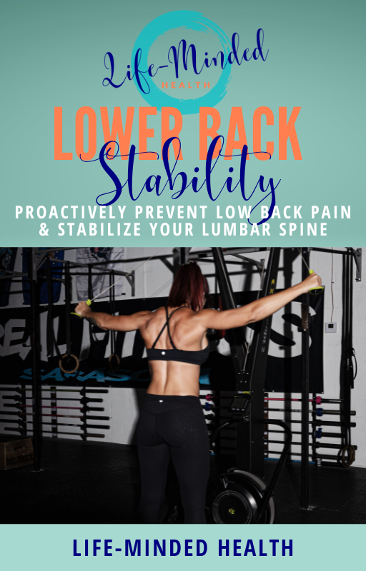 Lower Back Stability Program